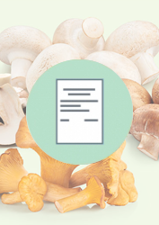 Öffnet die Seite zum Sachstandbericht 'Obst,Gemüse, Pilze' in einem neuem Tab